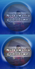 Nurkowanie podlodowe